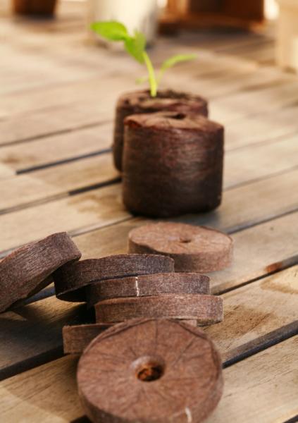 Accessoires pour semer - Pastille Coco - 35 mm - Tout en 1 (x35) - face recto